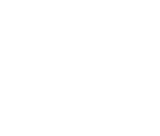 Institut für Sozialstrategie